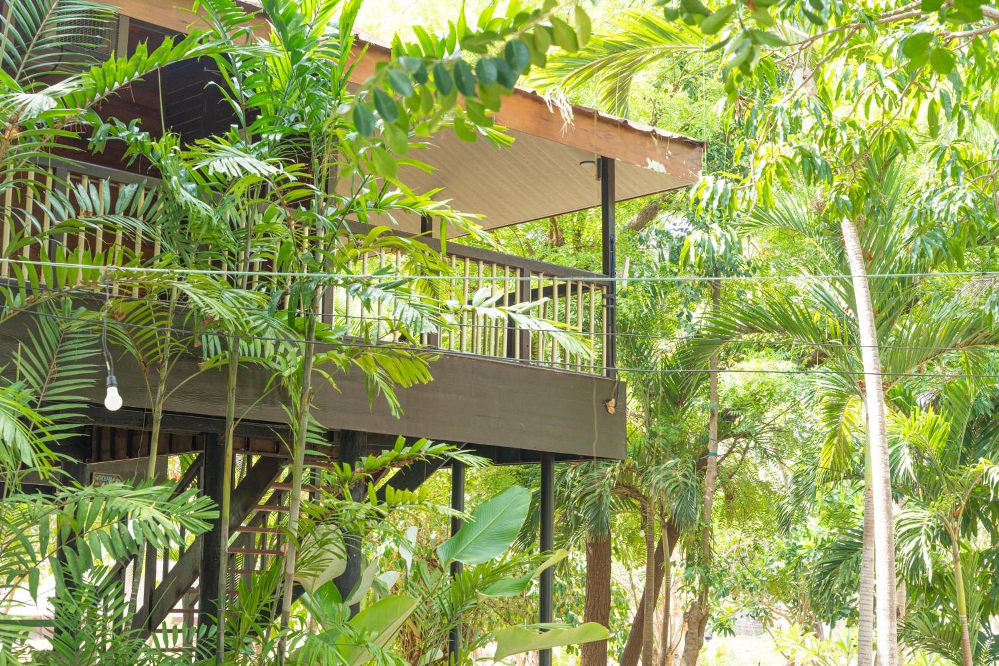 Club Serena Resort Moalboal Bagian luar foto
